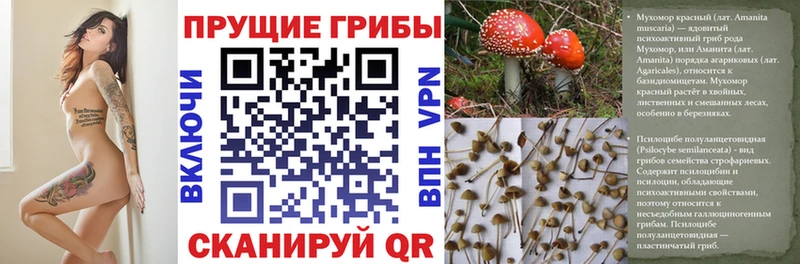 мориарти клад  Чулым  Псилоцибиновые грибы Magic Shrooms 